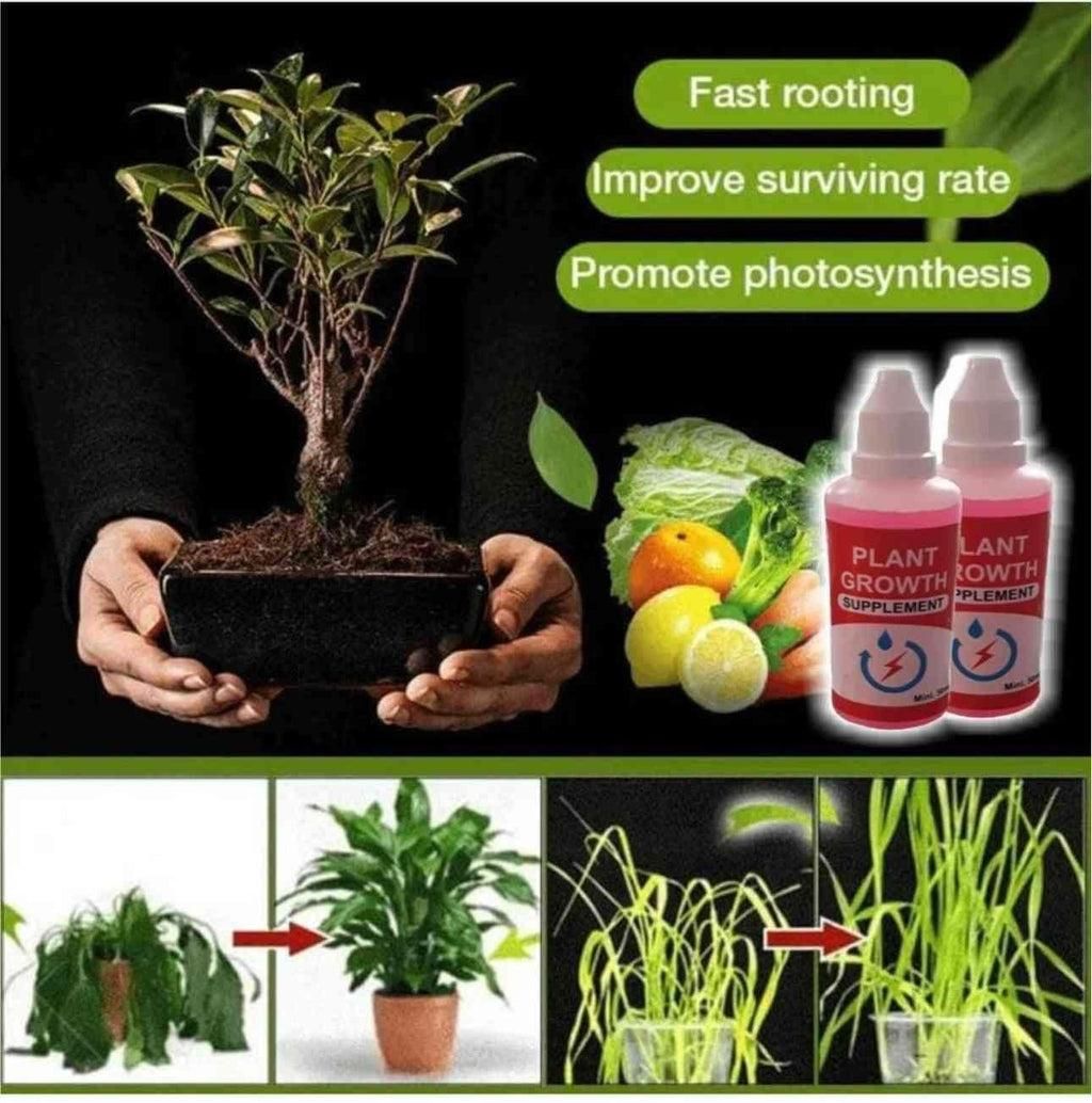 Plant Grower Pack Of 2